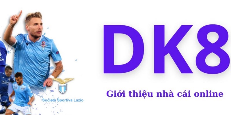 Khám phá tổng quan trang cá cược DK8 VN