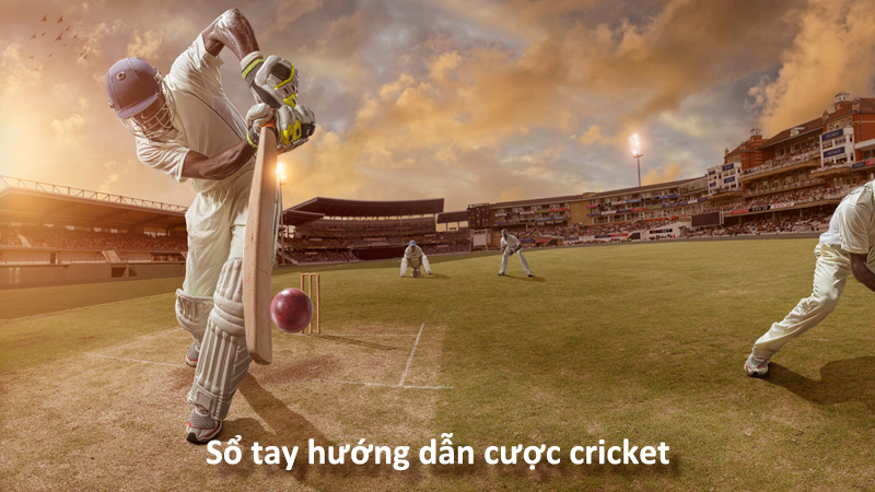 Tìm hiểu về luật chơi Cricket