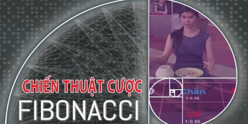 Chơi xóc đĩa theo chuỗi Fibonacci cực kỳ đơn giản