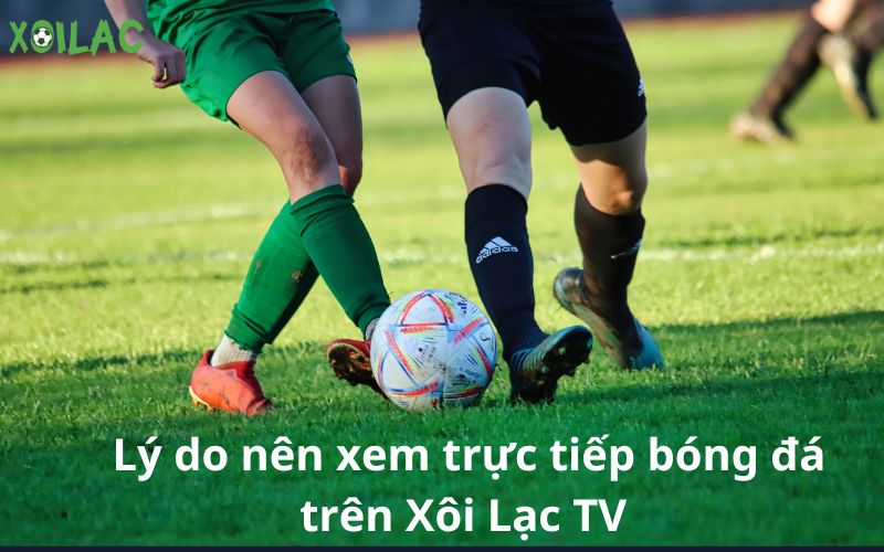 Lý do nên xem trực tiếp bóng đá trên Xôi Lạc TV 