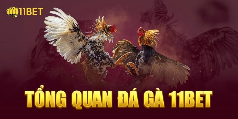 Các hình thức đặt cược đá gà 11BET