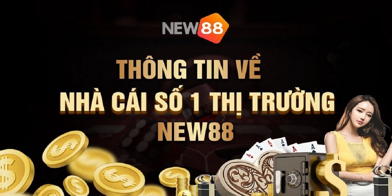 Giấy phép đầy đủ và chất lượng