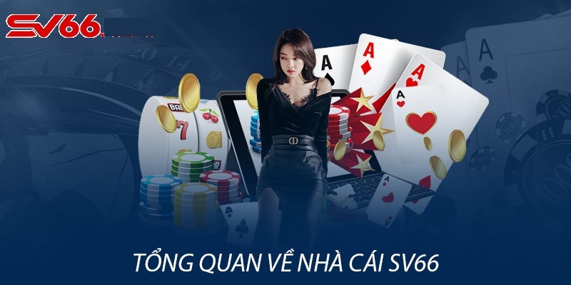 Giới thiệu tổng quan về SV66