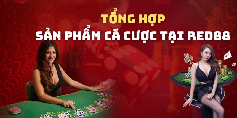 Các sảnh cược hấp dẫn, kịch tính thu hút bet thủ tham gia