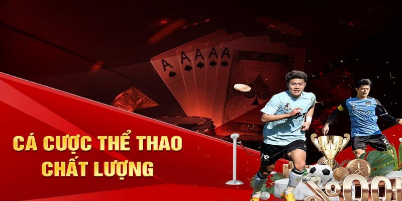 nhà cái thể thao 33win