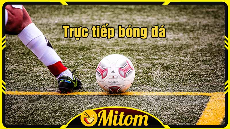 Giới thiệu Mitom1