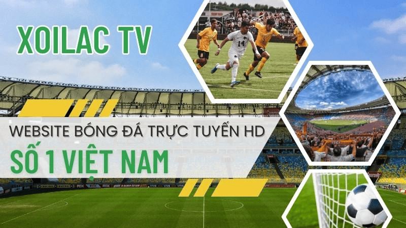 Cảm nhận của khách hàng với Xoilac TV