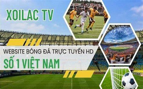 Hướng dẫn xem 3 bước thuận tiện nhất