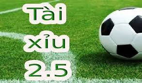 tài xỉu 2.5