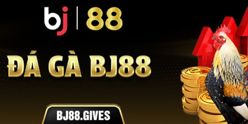 Đá gà BJ88