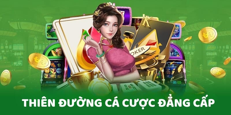 Thiên đường cá cược đẳng cấp